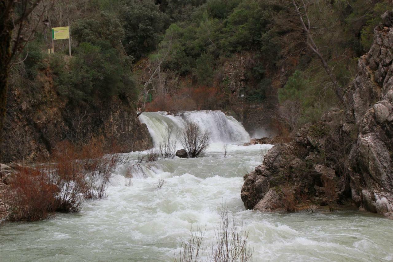 Alojamiento aguasblanquillas Coto Ríos Exterior foto