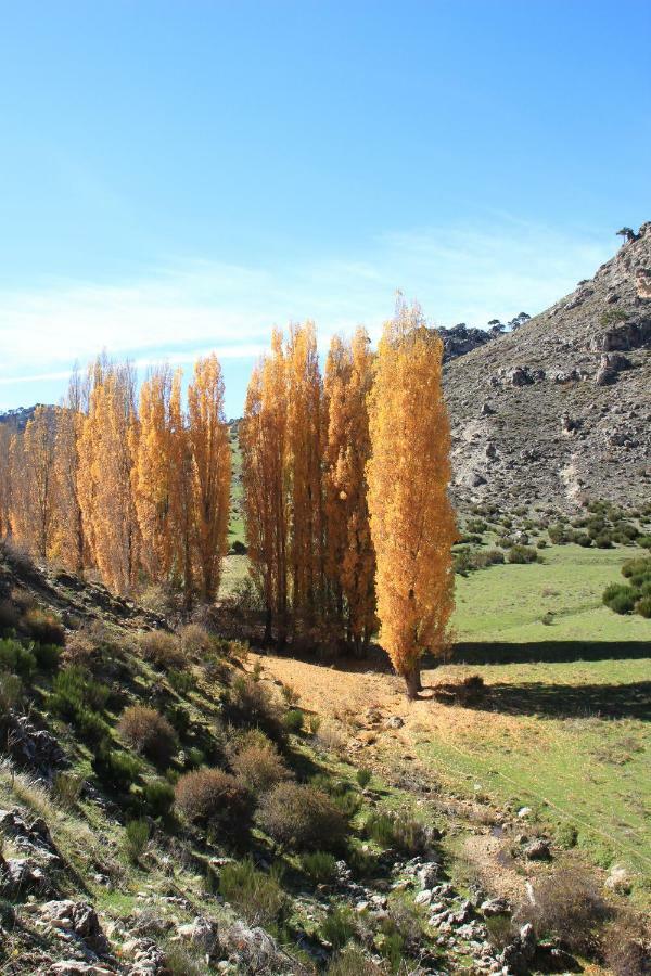 Alojamiento aguasblanquillas Coto Ríos Exterior foto